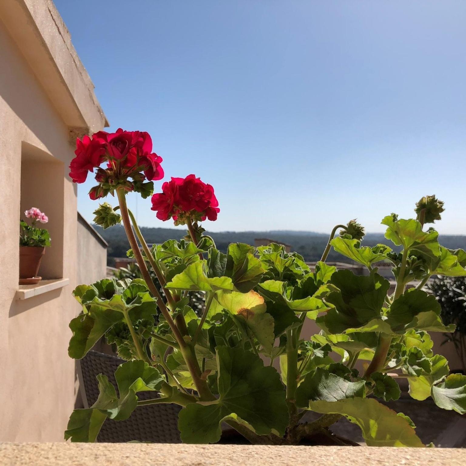 Vista De La Vila - Turismo De Interior. Llubi Bilik gambar